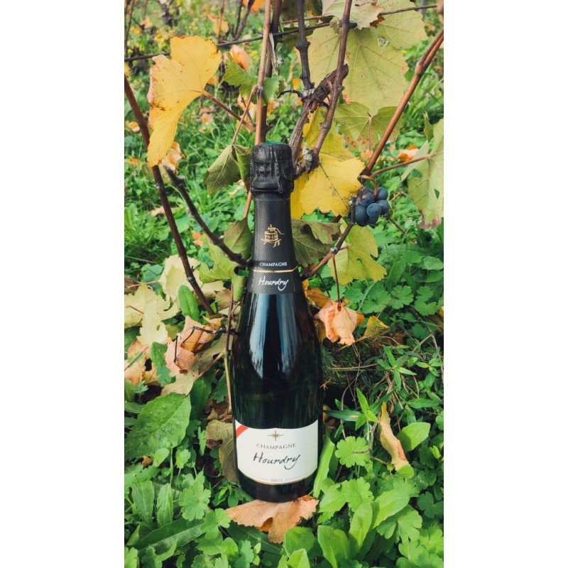 Champagne Hourdry Brut