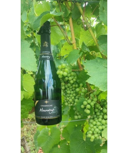 Champagne Hourdry Blanc de Blancs